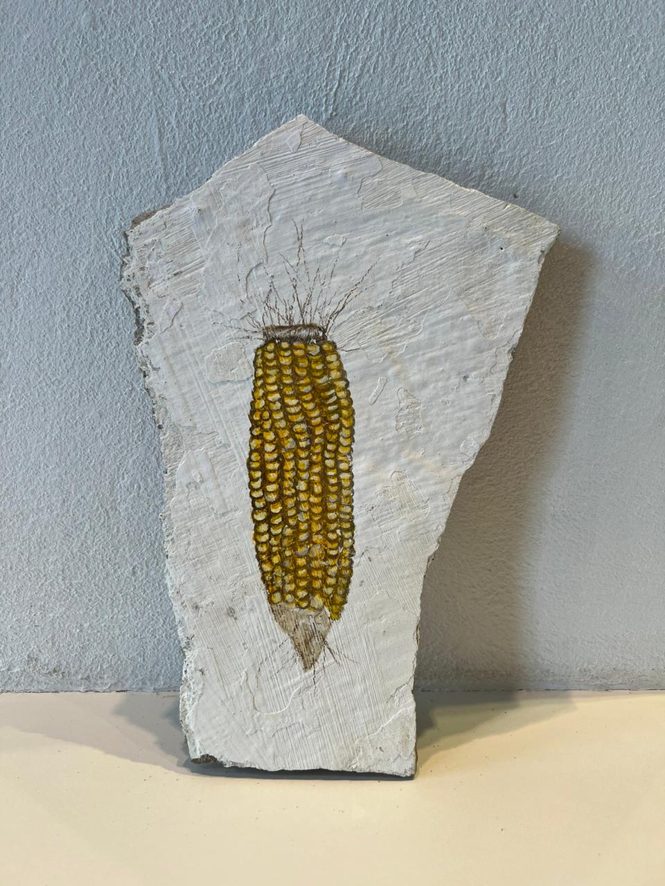Colheita sobre concreto