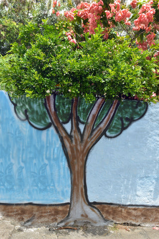 Pintura em Muro no Bairro das Graças, Recife